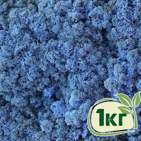 Стабилизированный мох ягель Nordic moss Лавандовый 1 кг