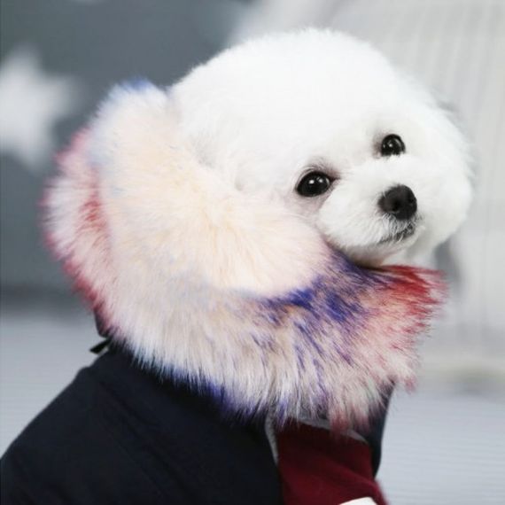 Зимняя парка для собак Cheepet на меховом подкладе, с капюшоном на меху, синяя | Зображення 5
