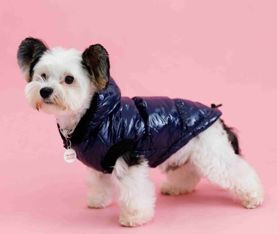 Жилет монклер синій G-83