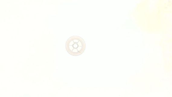 Колесо стартера мотокосы   009   BEST   (mod.A)