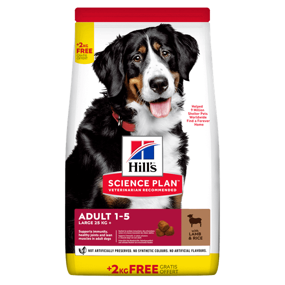 Hill’s SP Adult Large Breed Сухий корм для дорослих собак великих порід, з ягням і рисом, BONUS Bag -12+2кг