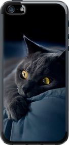 Чехол на iPhone 5s Дымчатый кот "825u-21-17620"