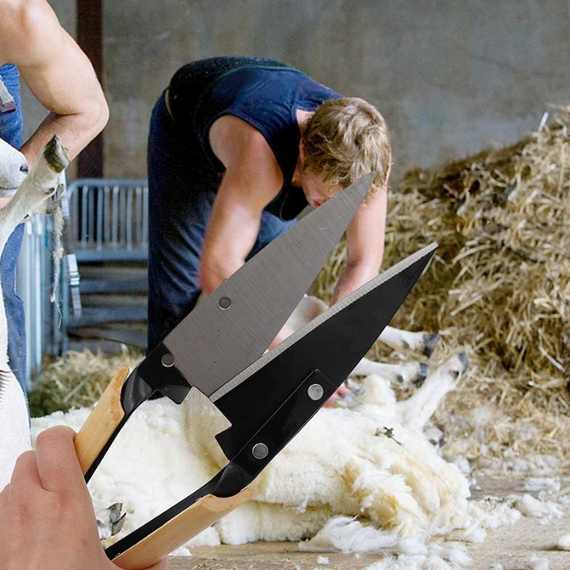 Металеві ножиці з дерев'яними ручками для стрижки шерсті овець і собак, сталеві леза | Зображення 9