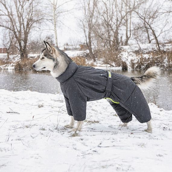 Комбінезон Pet Fashion Cold для собак сірий XS | Зображення 4