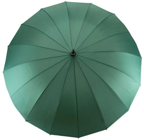 Парасолька Semi Line Green (2512-6) (DAS303082) | Зображення 2
