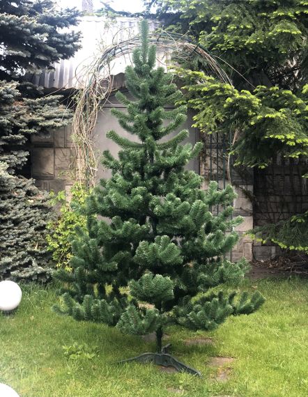 Новорічна штучна ялинка Classic 220 см зелена | Зображення 4