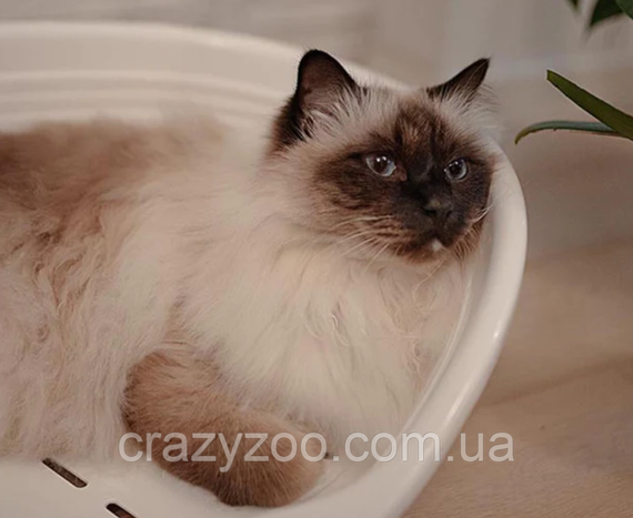 Пластиковий лежак для собак та котів Ferplast Siesta Deluxe 4 білий 61.5х45х21.5 см 70204911 | Зображення 3