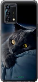 Чохол на Oppo A95 Димчастий кіт "825u-2345-2448"