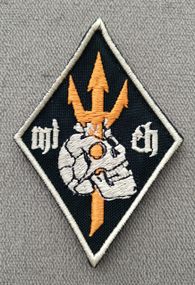 Шеврон mich team