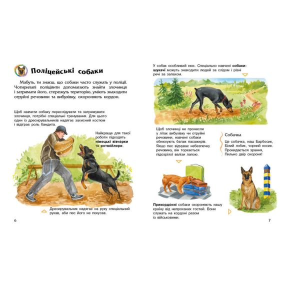 Энциклопедия дошкольника Собаки 614035 для самых маленьких | Зображення 2