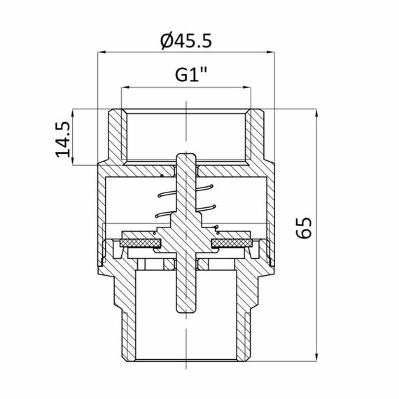 Обратний клапан Thermo Alliance Standart 1"ВН с латунным штоком TAS248W25 | Зображення 1