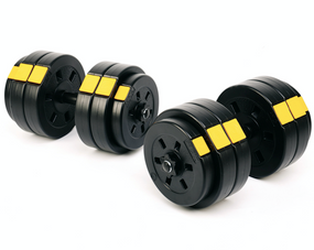 Гантели разборные Besport PowerPro 2х26кг