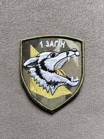 Шеврон 1 отряд / мультикам