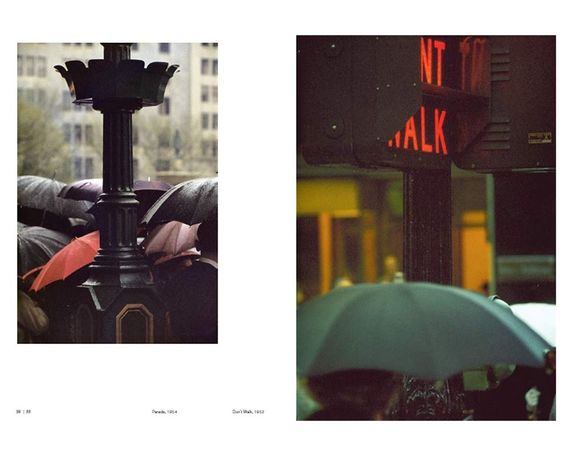 Книга для фотографов работы Сола Лейтера Saul Leiter "All About Saul Leiter" фотоискусство подарочные книги | Зображення 4