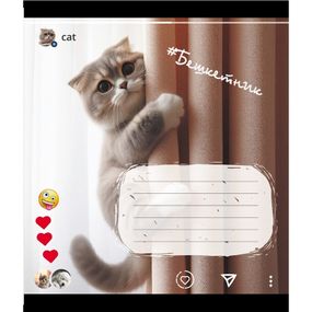 Зошит учнівський "Кішка" 024-550351K-1 в клітинку, 24 аркуші