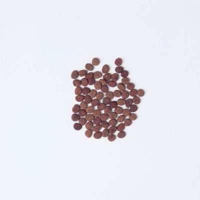 Сухой корм для кошек Carnilove True Fresh Cat Fish 4.8 кг (8595602561438) | Зображення 3