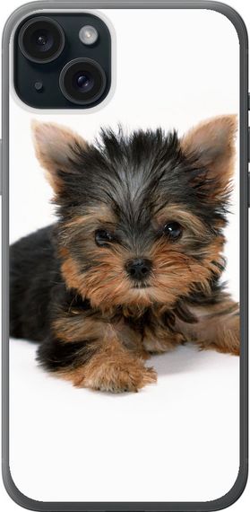 Чехол на iPhone 15 Plus Щенок йоркширского терьера "931u-3097-17620"