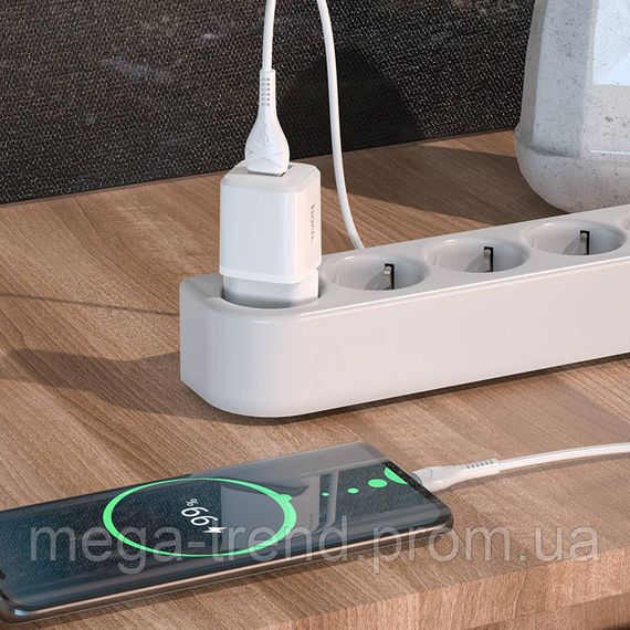 Адаптер мережевий Hoco Type-C Cable Briar dual Port charger set N8 |2USB, 2.4A| (Safety Certified) | Зображення 1