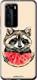 Чохол на Huawei P40 Pro Єнотик з кавуном "4605t-1839-2448"