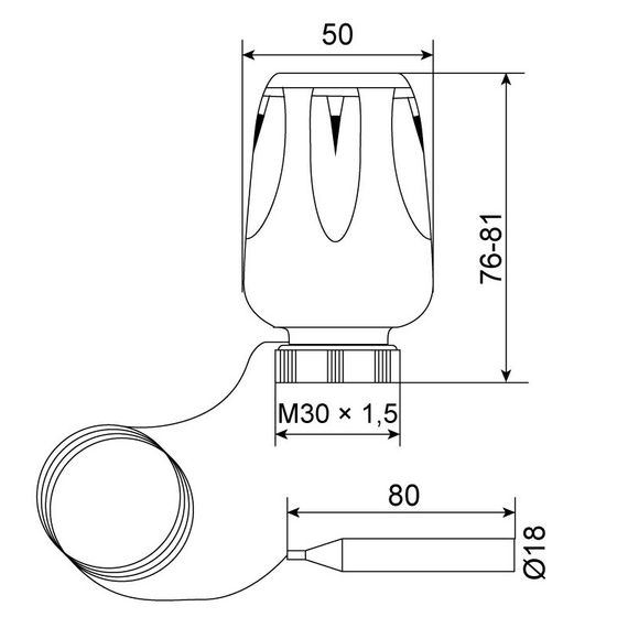Термоголовка з виносним датчиком M30x1.5 Koer KR.1331 (KR2677) | Зображення 1