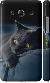 Чохол на Samsung Galaxy Core 2 G355 Димчастий кіт "825c-75-2448"