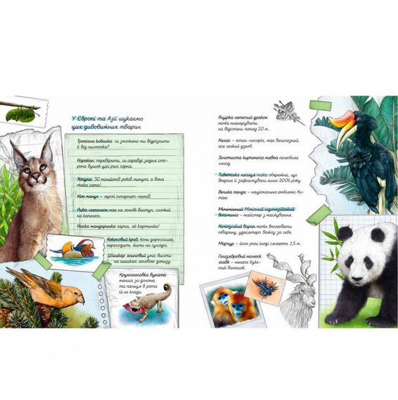 Книга "Експедиція за дивовижними тваринами" 152961 | Зображення 6