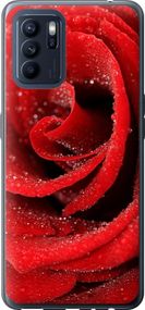 Чехол на Oppo Reno6 Z Красная роза "529u-2477-17620"