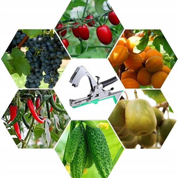 Садовий степлер для підв'язки рослин + стрічка, Tapetool / Підв'язувальний степлер-тапенер для винограду | Зображення 3