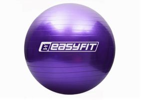М'яч для фітнесу EasyFit 65 см фіолетовий (EF-3007-V)