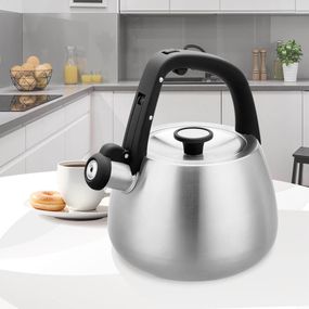 Чайник зі свистком Maestro MR-1318-OLD 2.5 л сріблястий