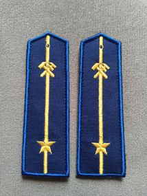 Погон залізничника (є всі види)/комплекс — 2 шт.