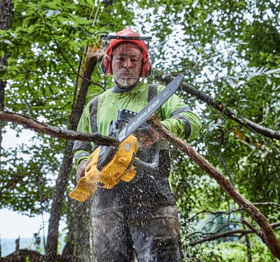 Акумуляторна міні-пилка DeWalt без АКБ та ЗП DCMCS575N | Зображення 2