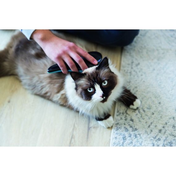 Щітка-пуходерка Trixie для собак м_яка пластикова 19 см | Зображення 4