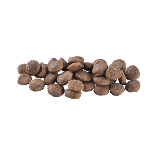 Корм сухий Brit Care Dog Grain-free Puppy для цуценят беззерновий з лососем 1 кг | Зображення 1