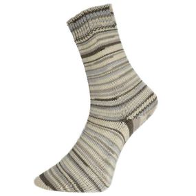 Шкарпеткова пряжа Pro Lana Golden Socks Schonwald, 669