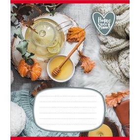 Тетрадь ученическая "Домашний уют" 018-540253L-2 в линию, 18 листов