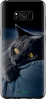 Чохол на Samsung Galaxy S8 Plus Димчастий кіт "825u-817-2448"