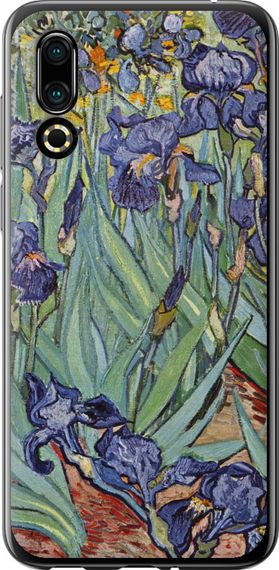 Чехол на Meizu 16S Винсент Ван Гог. Ирисы "161u-1701-17620"