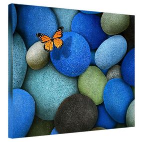 Картина на холсте Бабочка 40x50 см (H4050_YM007)