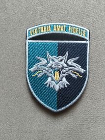 Шеврон 38 окрема бригада морської піхоти BMC/1шт кольоровий