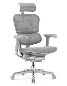 Кресло компьютерное ERGOHUMAN ELITE 2 (EHE2-AG-HAM-5D-L) сетка T-168-B2