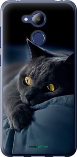 Чохол на Huawei Honor 6C Pro Димчастий кіт "825u-1358-2448"