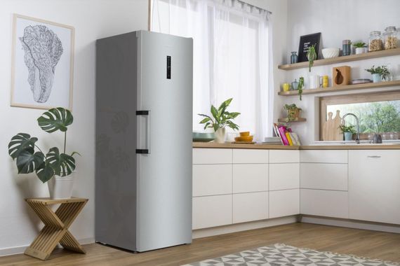 Холодильна камера Gorenje R619EAXL6 | Зображення 1