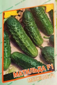 Огірок Матільда F1 5 шт.