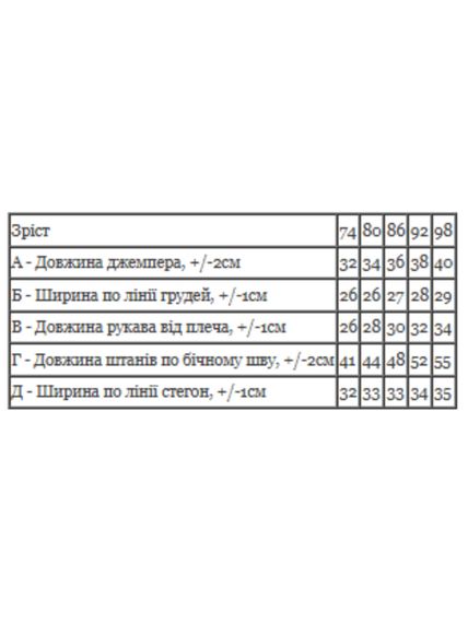 Ясельний комплект для хлопчика (світшот та штани) з малюнком Носи своє 74 Темно-блакитний (p-8515-214821) | Зображення 1