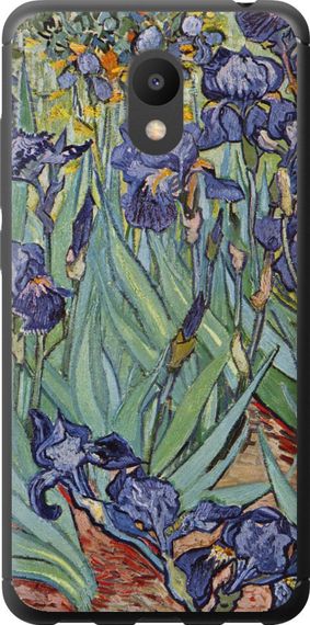 Чехол на Meizu M6 Винсент Ван Гог. Ирисы "161u-1349-17620"
