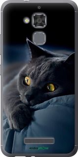 Чохол на Asus Zenfone 3 Max ZC520TL Димчастий кіт "825u-442-2448"