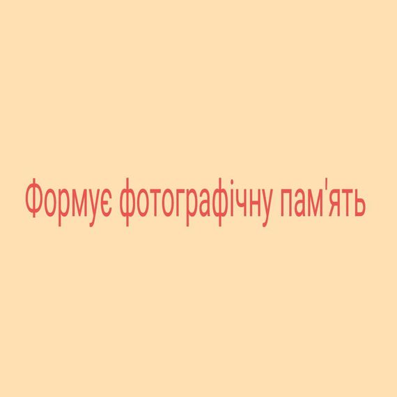 Мегачемодан по методике Домана. На русском. Без ламинации. | Зображення 4