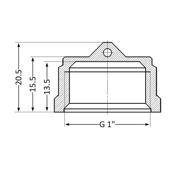 Заглушка Thermo Alliance Standart 1" ВР SD40225 | Зображення 1