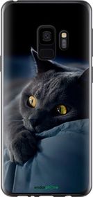Чохол на Samsung Galaxy S9 Димчастий кіт "825u-1355-2448"